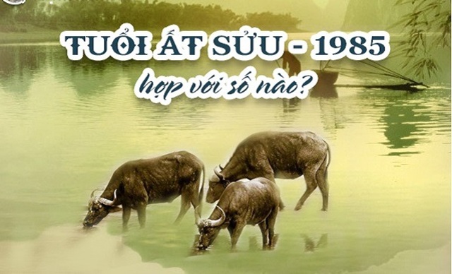 Những Con Số May Mắn Nên Có Trong Số Điện Thoại Tuổi Ất Sửu