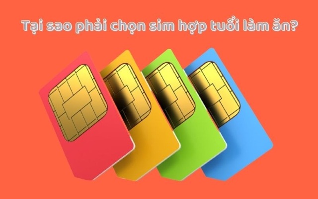 Bói Sim Hợp Tuổi Làm Ăn Theo Ngũ Hành