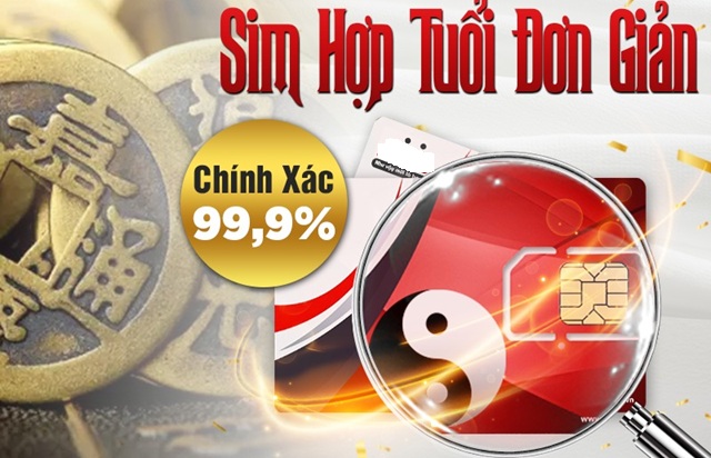 Chấm điểm sim với tuổi theo ngũ hành
