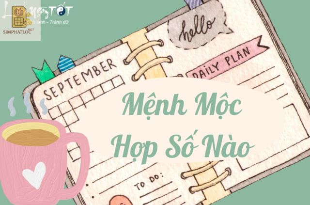 Những đuôi số điện thoại người mệnh Mộc nên tránh