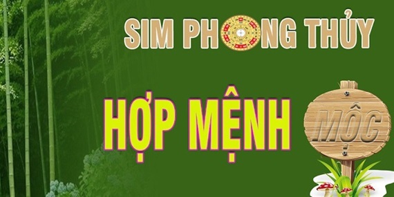 Cách Chọn Sim Số Điện Thoại Hợp Mệnh Mộc Chi Tiết