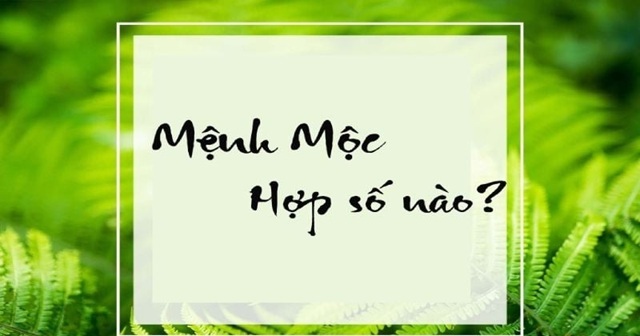 Cách chọn sim số đẹp, hợp mệnh Mộc theo tuổi