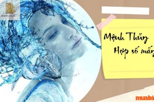 mệnh thuỷ hợp những số nào