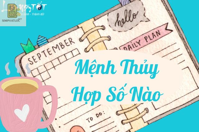 Tổng Quan Về Mệnh Thủy Trong Phong Thủy