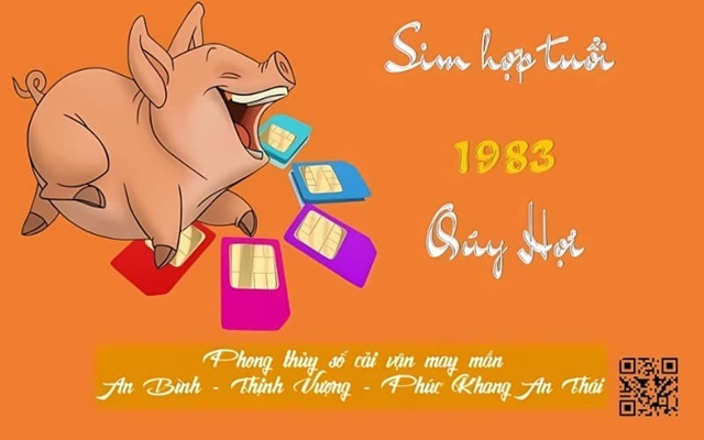 Chọn Sim Hợp Tuổi 1983 Quý Hợi: Ngũ Hành, Quẻ Dịch, Con Số May Mắn