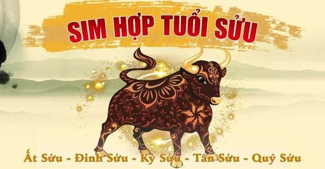 Ý Nghĩa Của Việc Chọn Sim Hợp Tuổi Đinh Sửu