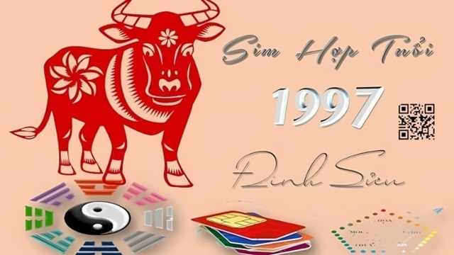 Sim hợp tuổi Đinh Sửu nam mạng theo phong thủy