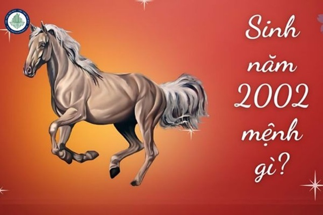 Sinh năm 2002 tuổi gì? Mệnh gì?