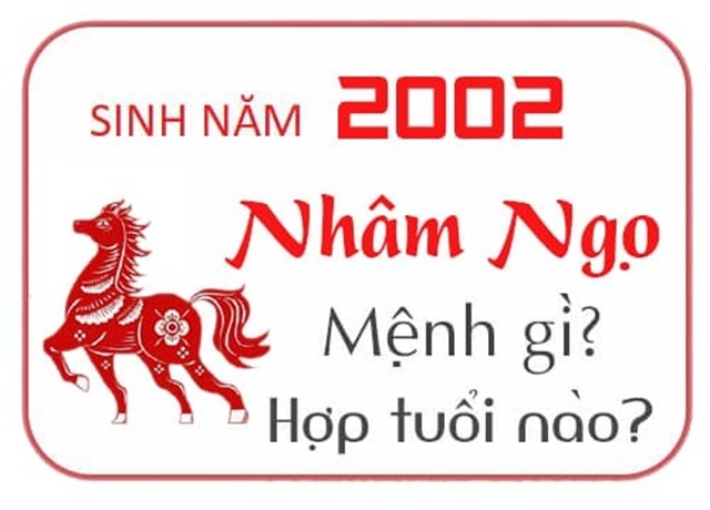 Vận mệnh của tuổi Nhâm Ngọ 2002