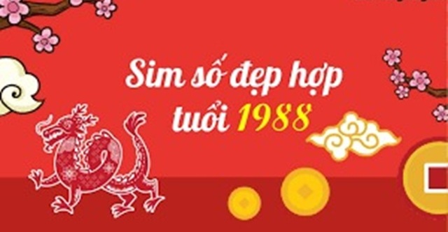 Chọn Theo Âm Dương Tương Phối: