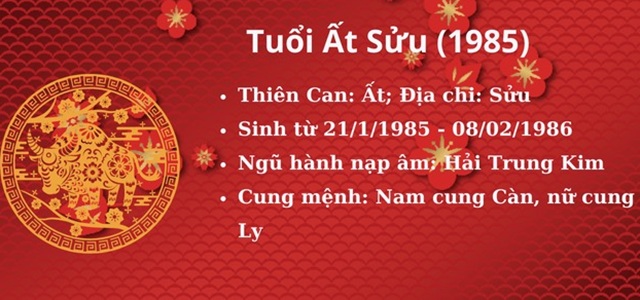 sinh năm 1985 hợp với số nào