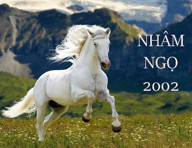 Tuổi Nhâm Ngọ Sinh Năm Nào? Mệnh Gì?